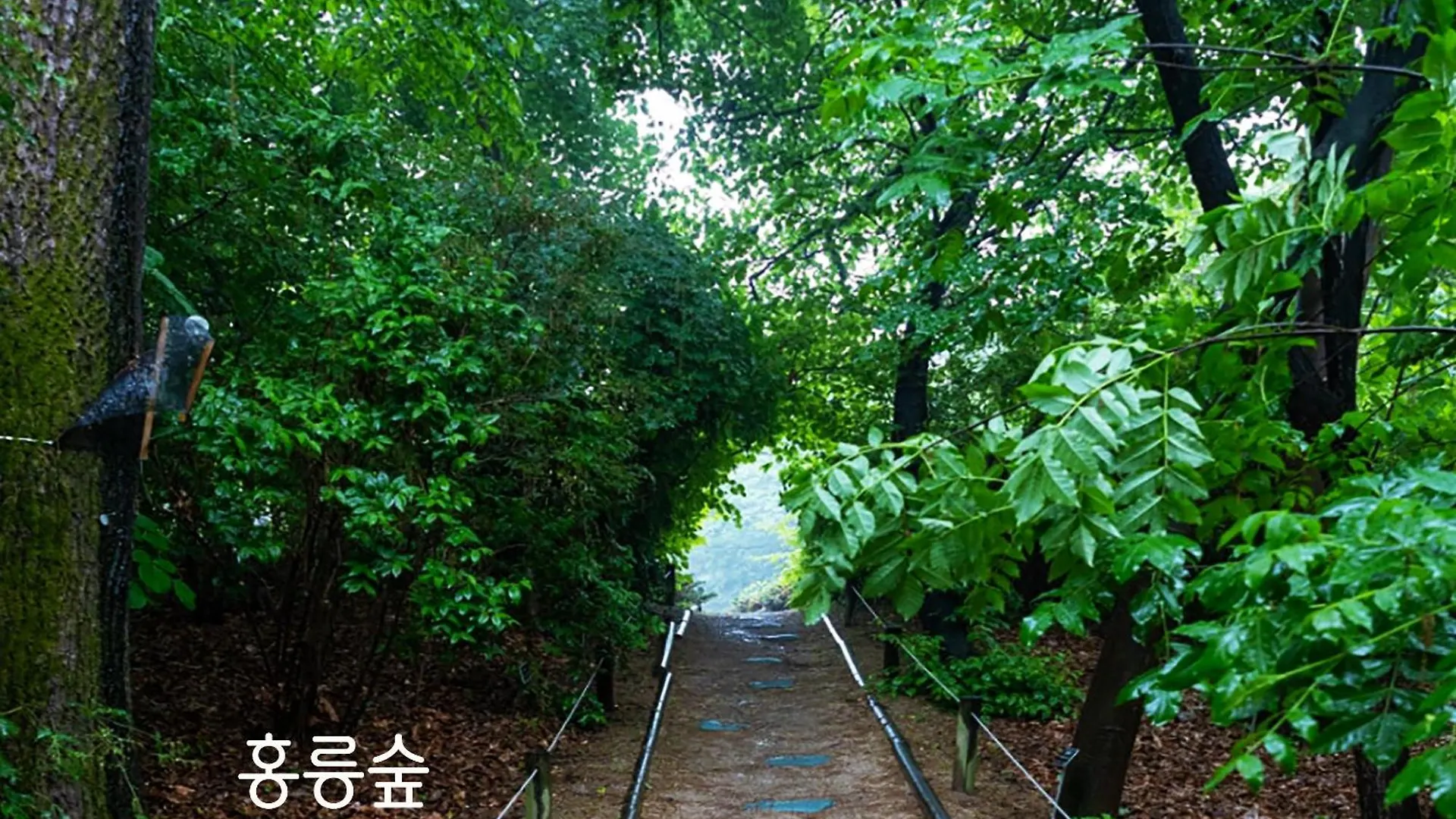 아파트 Sosodam Stay 서울특별시